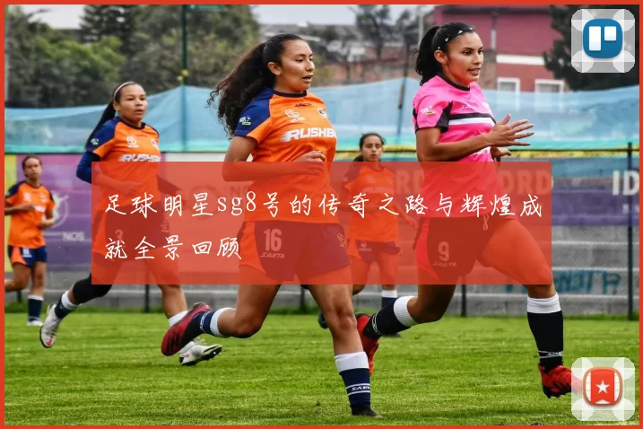 足球明星sg8号的传奇之路与辉煌成就全景回顾