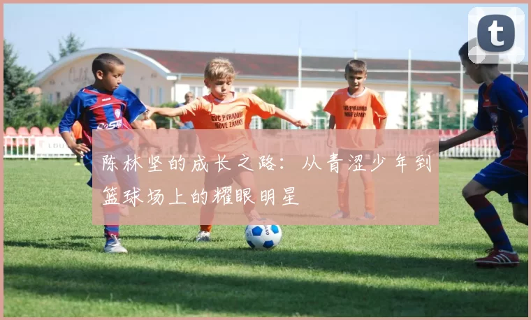 陈林坚的成长之路：从青涩少年到篮球场上的耀眼明星