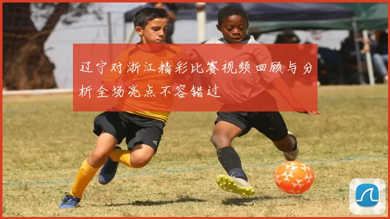辽宁对浙江精彩比赛视频回顾与分析全场亮点不容错过