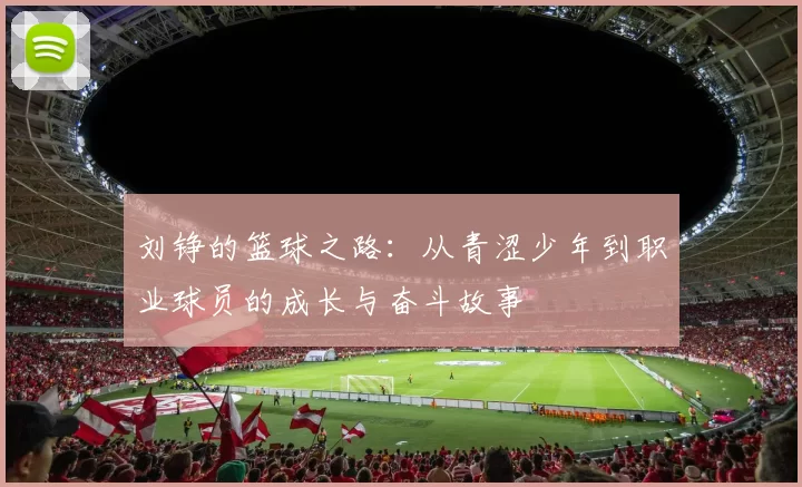 刘铮的篮球之路：从青涩少年到职业球员的成长与奋斗故事