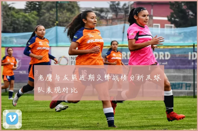 老鹰与灰熊近期交锋战绩分析及球队表现对比